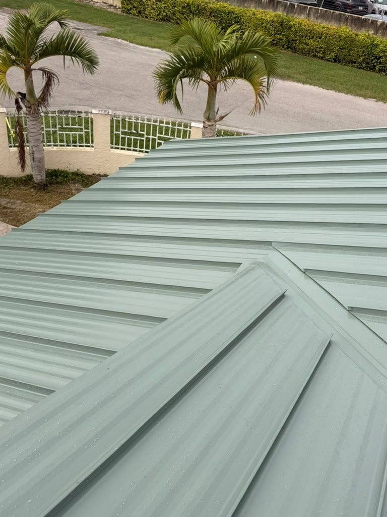 Green metal roof panels with palm trees behind
