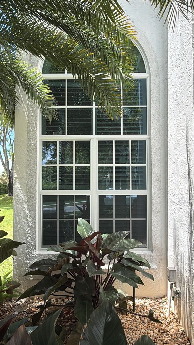 Tall arched window with a white frame